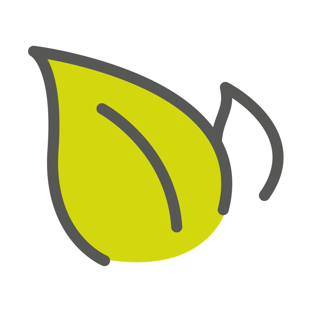 Icon von zwei Blätter. Das linke große Blatt neigt sich nach links und hat eine graue Kontur und eine grüße Füllung. Das rechte kleine Blatt ist durch eine Kontur angedeutet.